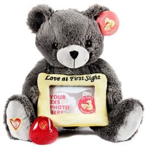 Dark grey teddy bear holding photo slot and heart